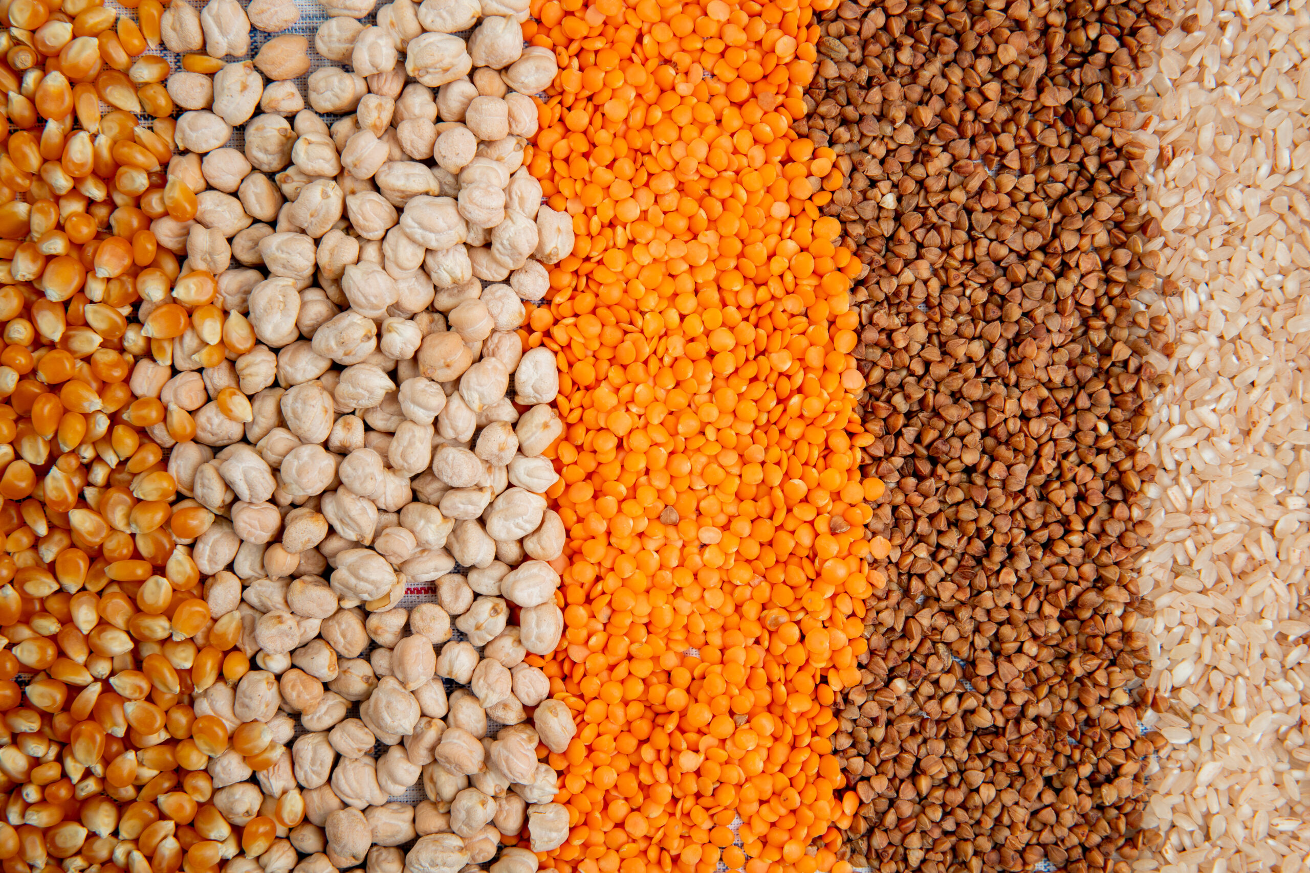 background of different types of groats corn seeds chickpeas red lentils buckwheat and rice top view SSUCv3H4sIAAAAAAAACpyRwW7DIAyG75P2DhHnRmpK16R7lWoHA26DSqECsmmq+u4zECrOu+HP9m//5vH+1nVMQNCSfXaPFFGsjVlC9BC1s4S3m5V7tAp9S1Dp6LwG00IBUc4WbkjQLsYk/MxJFiLEJWBIw1YkIeKFNAp8SZSNTiXuaiInqYNSjG0aFhaRWUVF/F+d5fFV3cAFrfzNCzdGPBqEYuRUStn1J6K/tdZgUdo1rr6dBJMKeKN091pqe2naXJzzlWubdIuNPq3w2pwZ5+4gTDrxmTSx8hlCoHJVeTNI0p+6WzPHupgNrKpM0U+kcOA7vtsf+DRu9/wwTvy4FpTfmzXp5HWqEMXyqlVrXacNmNqdhRhG0aMA6PdnMfTT9DH2x4kLHPkwKQV0+OcfAAAA//8DAMtX/VyHAgAA
